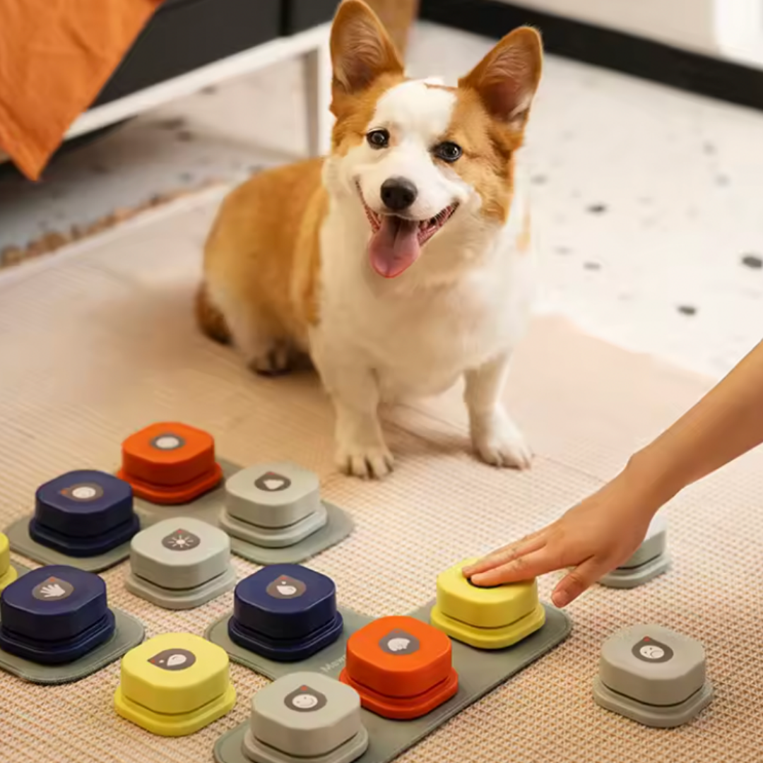 Recordable Push Button - Dog Trainer