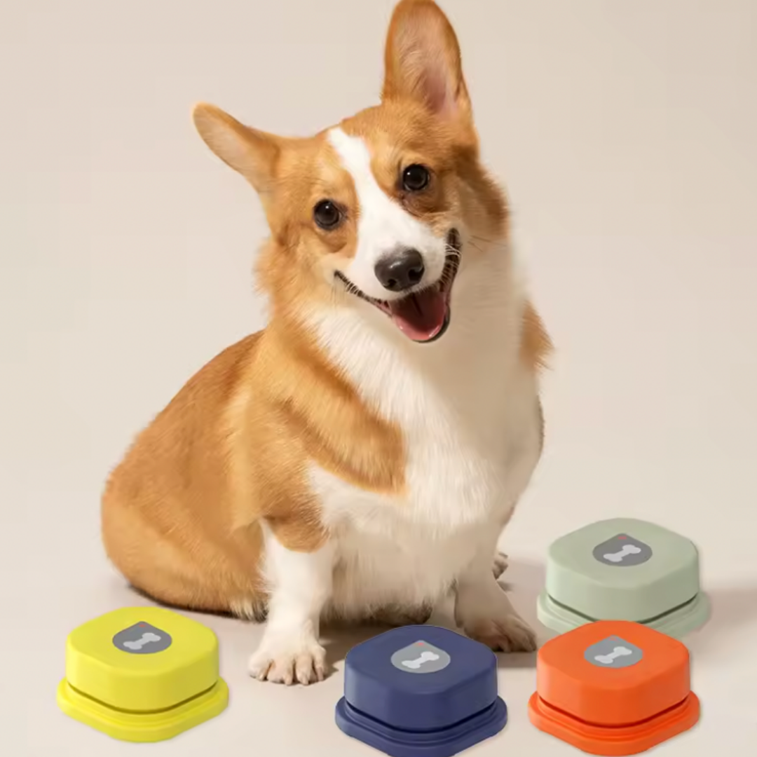 Recordable Push Button - Dog Trainer