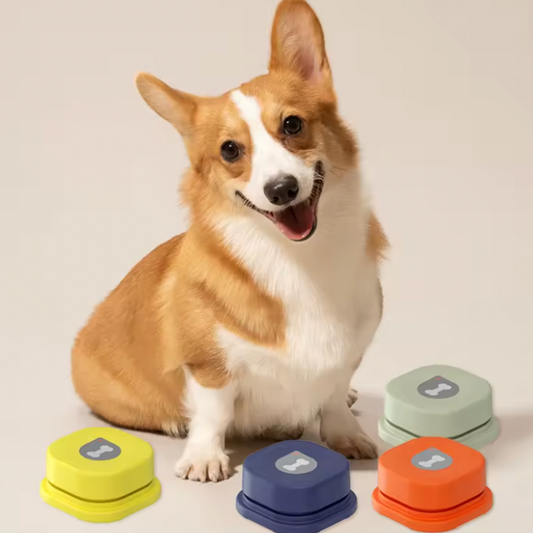 Recordable Push Button - Dog Trainer